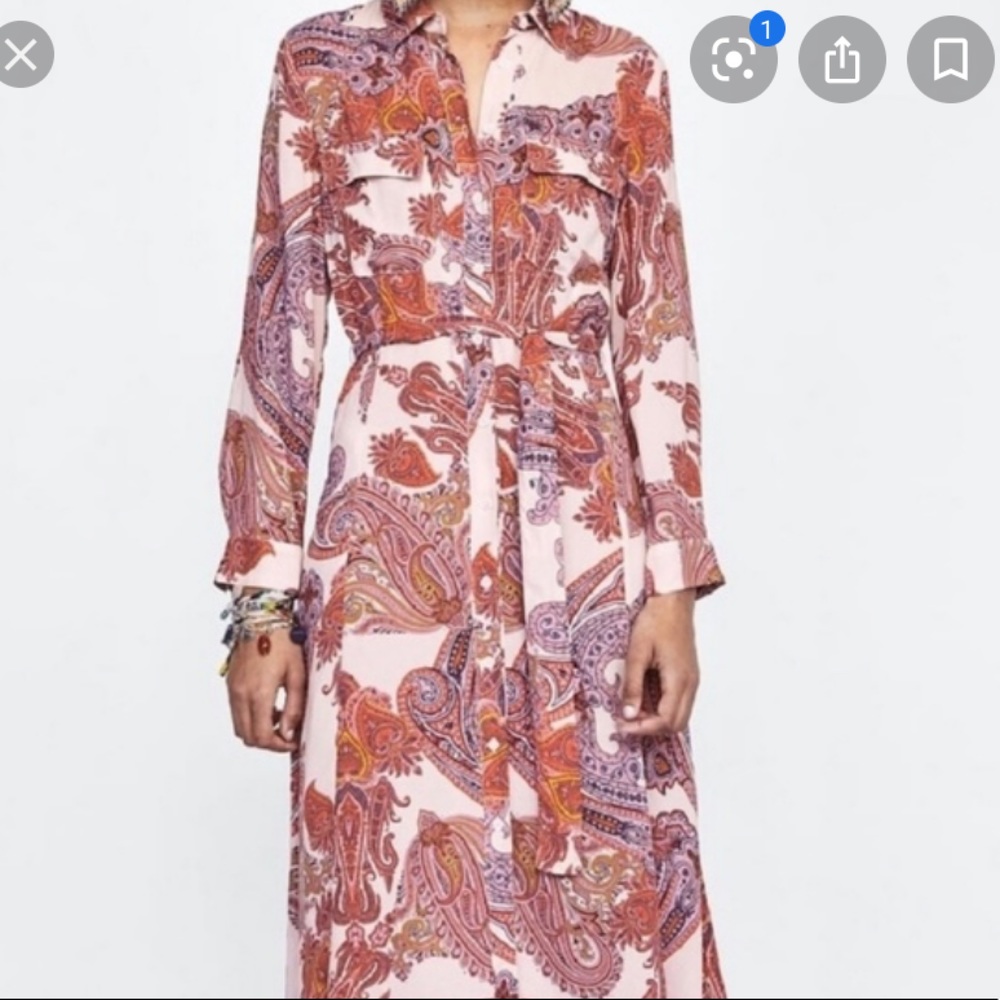 ZARA Long Paisley Print dress